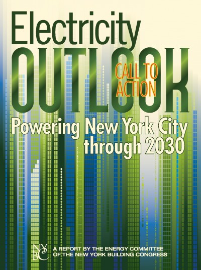 Electricity Outlook 2011